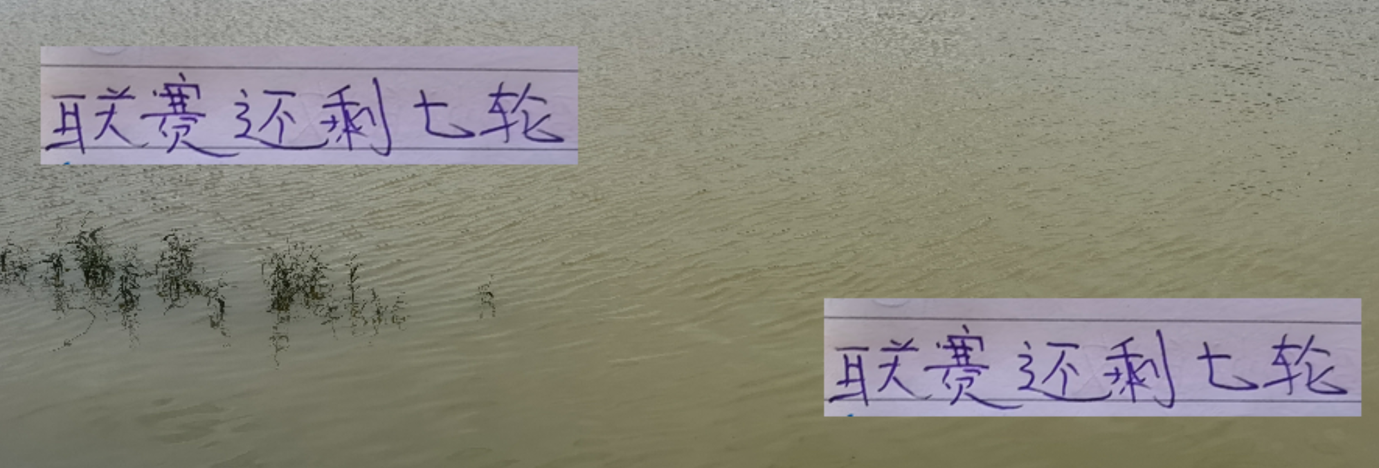 海港遇强不够猛 联赛还剩7轮 后面还有北京国安跟山东泰山